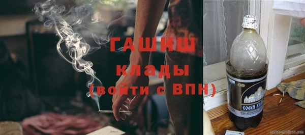 стафф Снежногорск